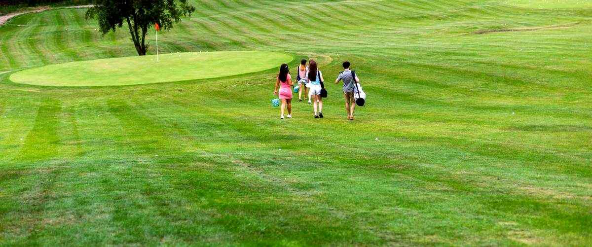 ¿Cuánto cuesta jugar una partida de minigolf en Logroño?