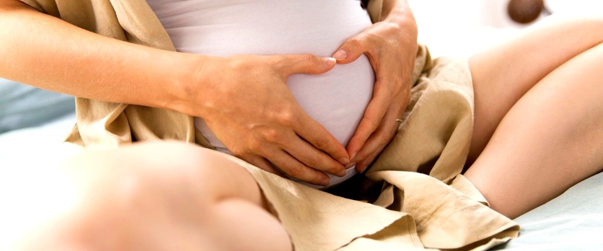¿Cuánto cuesta la inseminación artificial a través de la Seguridad Social?