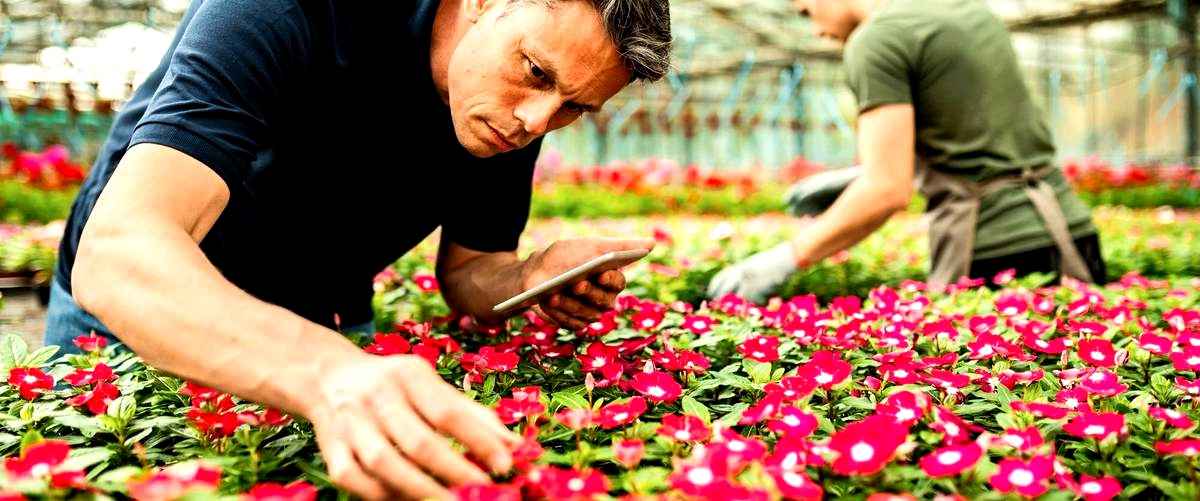 ¿Cuánto cuesta un ramo de rosas en una floristería en Vizcaya?