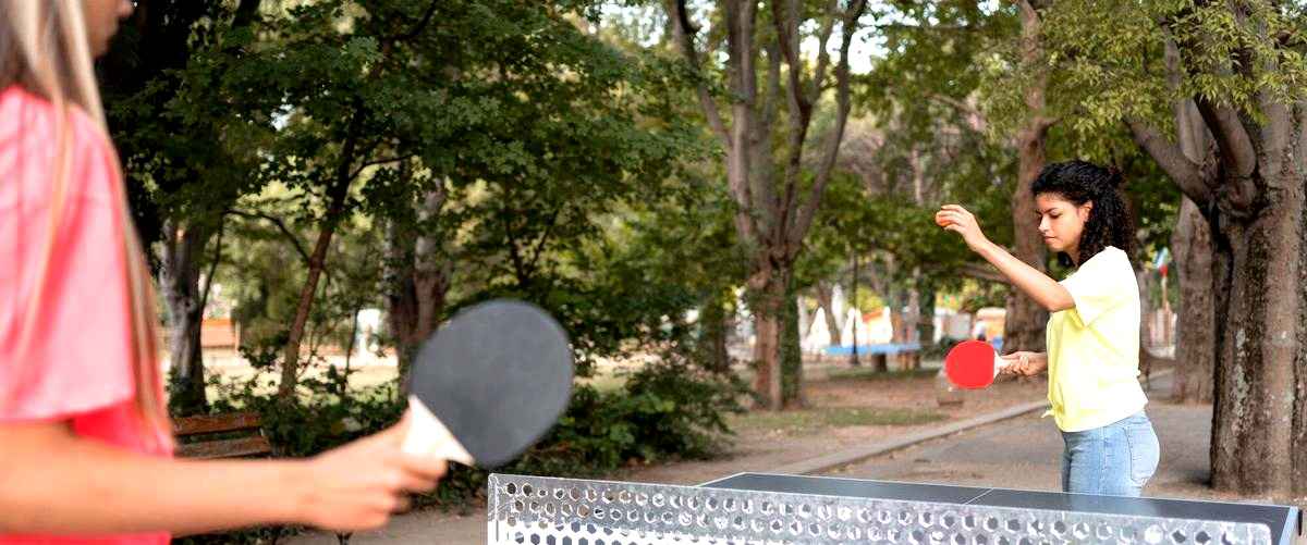 ¿Cuánto cuesta una pala de pádel de calidad?