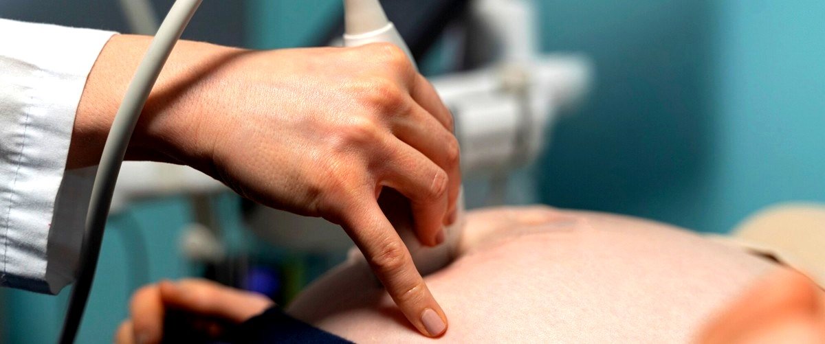 ¿Cuánto puede costar una inseminación in vitro en una clínica de reproducción asistida en Pamplona, Navarra?