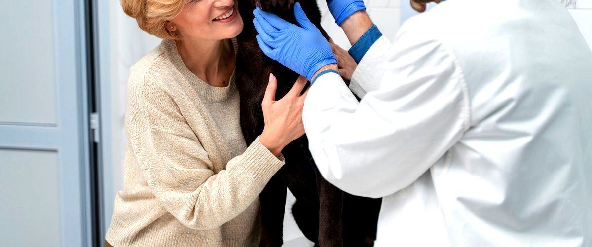 ¿Cuánto tiempo dura aproximadamente una consulta veterinaria en Pozuelo de Alarcón?