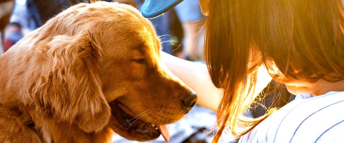 ¿Cuánto tiempo dura la carrera de adiestrador canino en Barrio Cantabria, Cantabria?