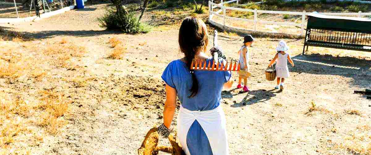 ¿Cuánto tiempo dura la formación de adiestrador canino en Huesca?