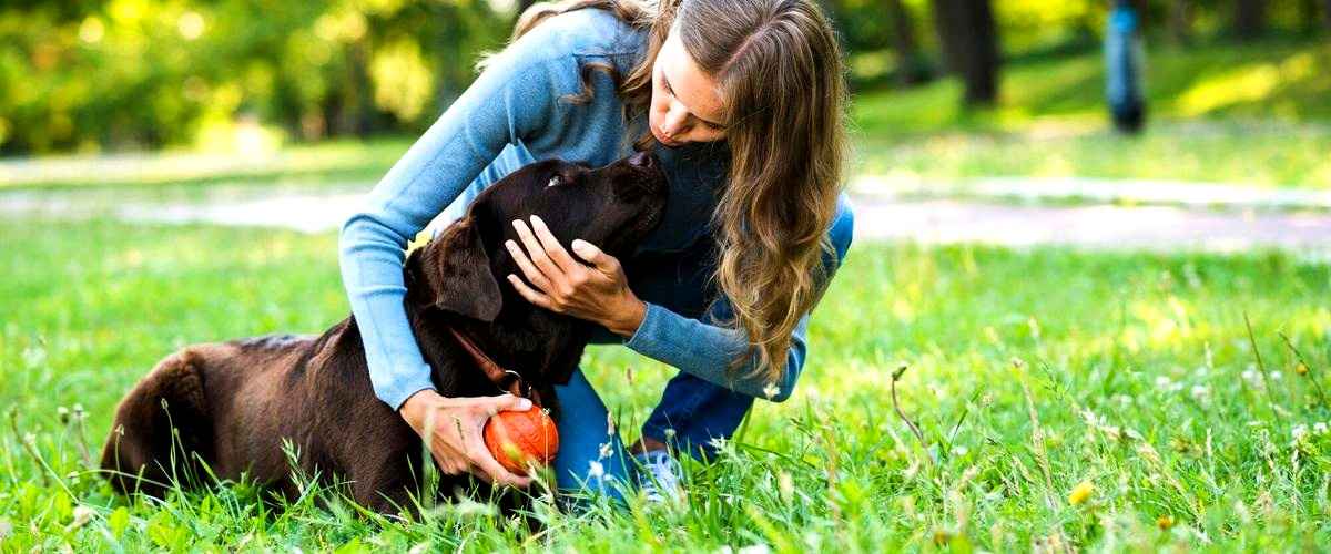 ¿Cuánto tiempo dura la formación para convertirse en adiestrador canino en Las Rozas de Madrid?