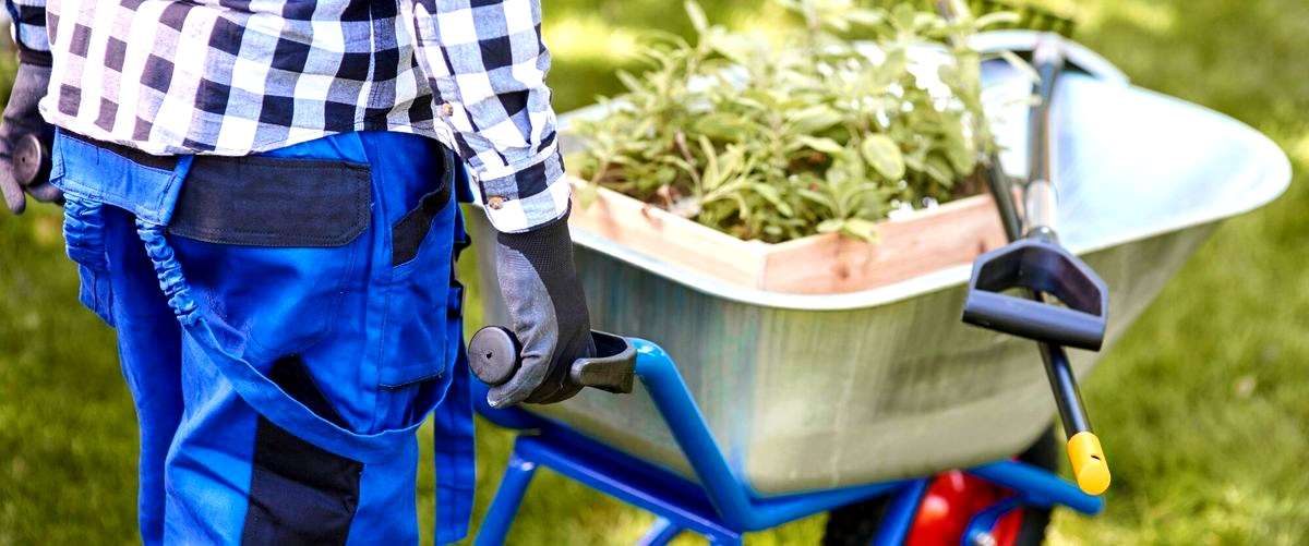 ¿Cuánto tiempo lleva completar un trabajo de jardinería?