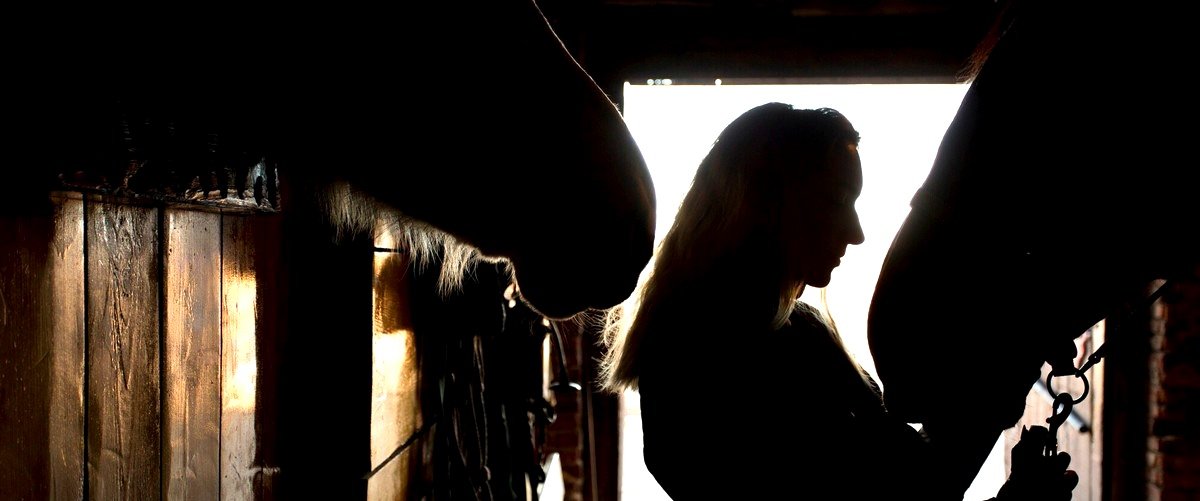 ¿Cuánto tiempo tarda en resolver un caso un detective privado?