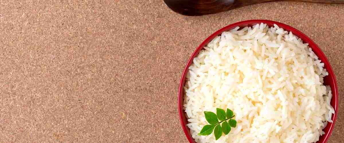 ¿Cuántos tipos de arroz se cultivan en España?