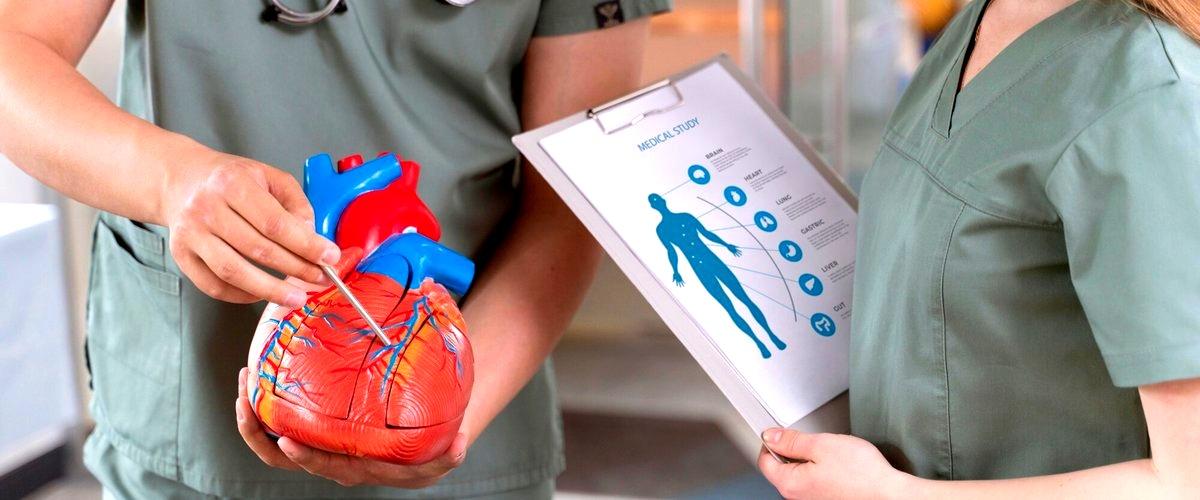 ¿Cuántos tipos de cardiólogos hay en Vitoria (Álava)?