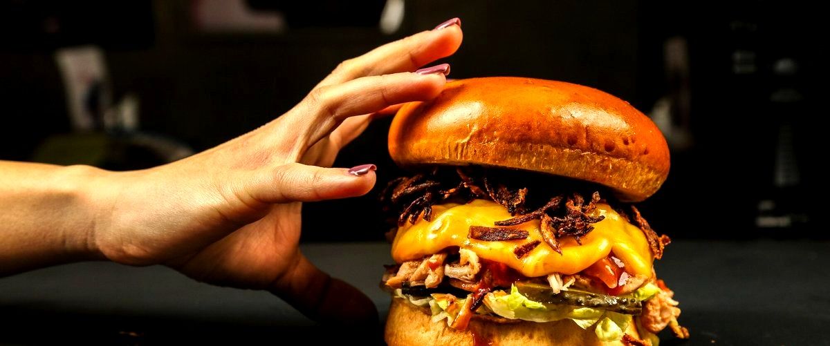 ¿Dónde puedo encontrar hamburguesas gourmet en Ávila?