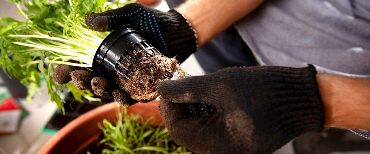 ¿En qué consiste el trabajo de jardinería?