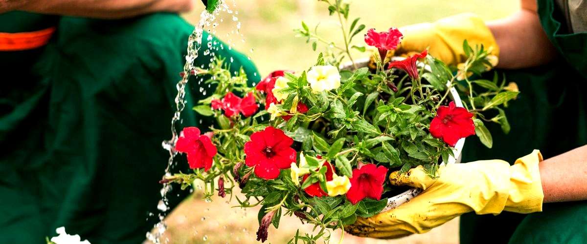 ¿Es posible contratar un servicio de jardinería por horas en lugar de mensual?