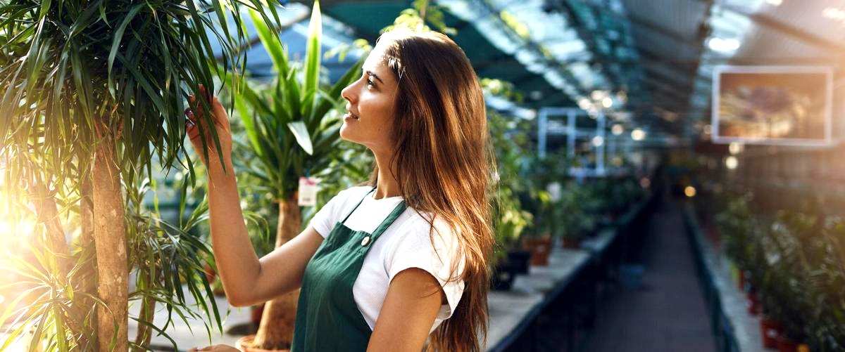 ¿Es posible obtener presupuestos gratuitos de las empresas de jardinería en Coruña?