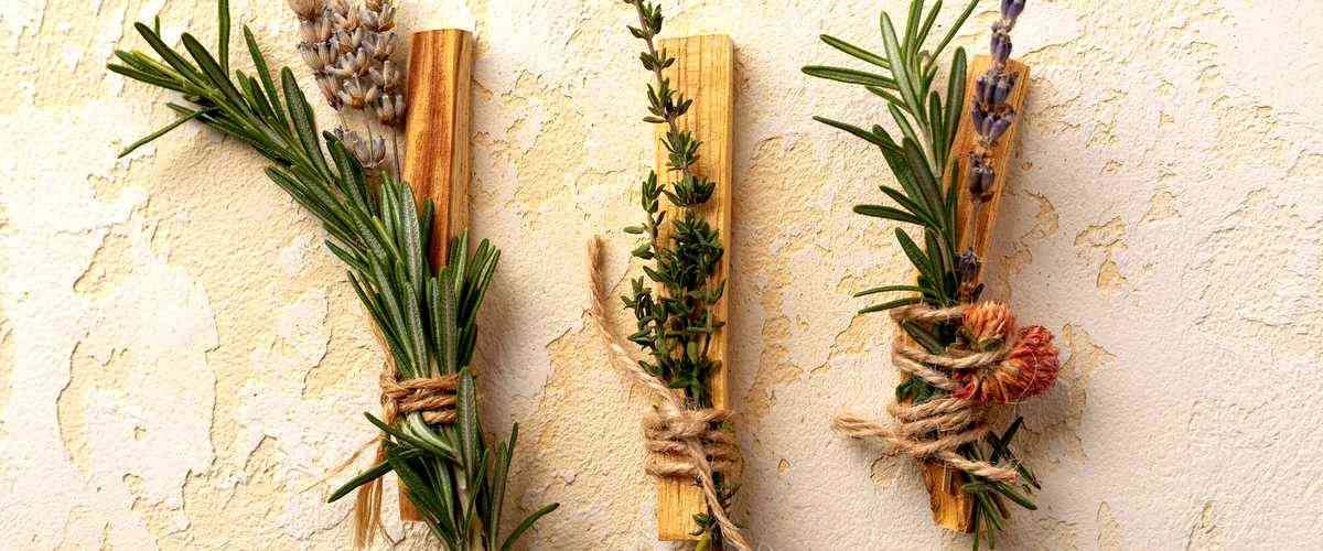 ¿Existen herbolarias especializadas en ciertos tipos de productos en Palma de Mallorca?