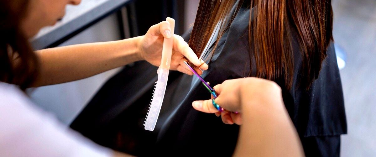 ¿Existen opciones de cursos de peluquería online en Vizcaya?