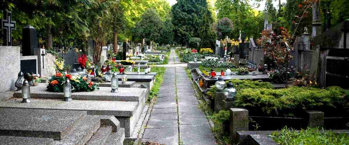 ¿Ofrecen servicios funerarios a domicilio en Castellón de la Plana?