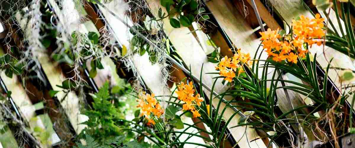 ¿Pueden las floristerías en Telde hacer arreglos florales personalizados?