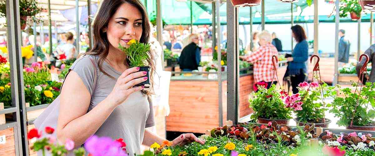 ¿Puedo encargar arreglos florales personalizados en las floristerías de Oviedo?