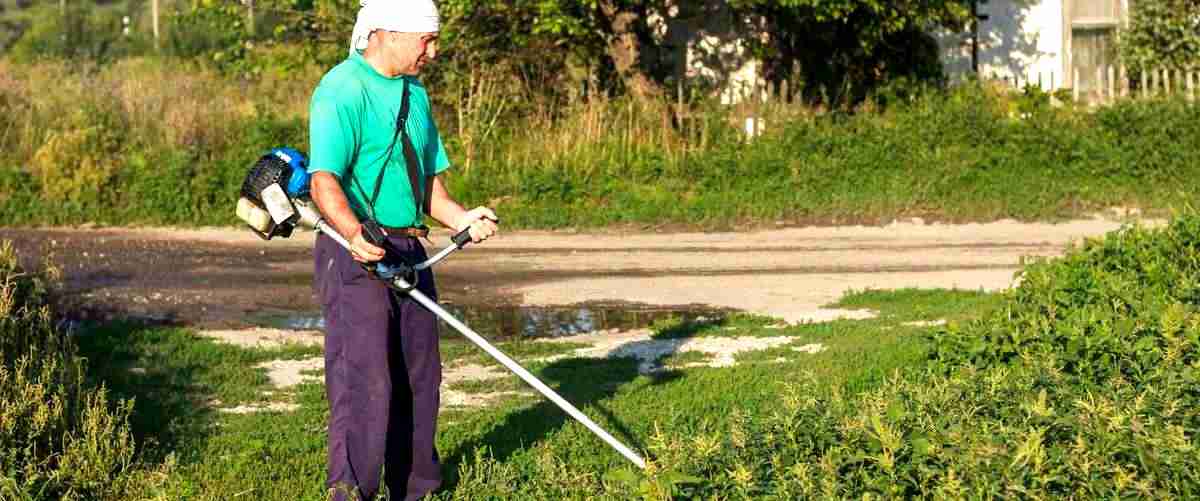 ¿Qué actividades se realizan en un trabajo de jardinería?