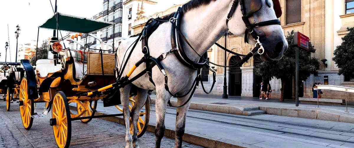 ¿Qué empresas en Zamora utilizan el transporte terrestre?