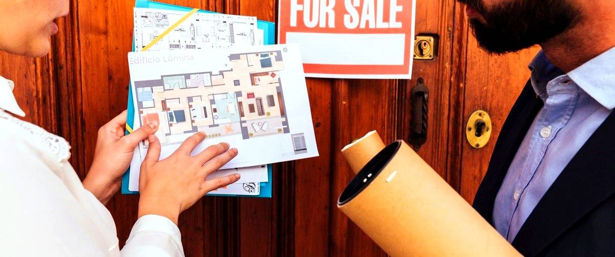 ¿Qué es Indomio Inmobiliaria y cuál es su actividad principal en el sector inmobiliario en Zamora?