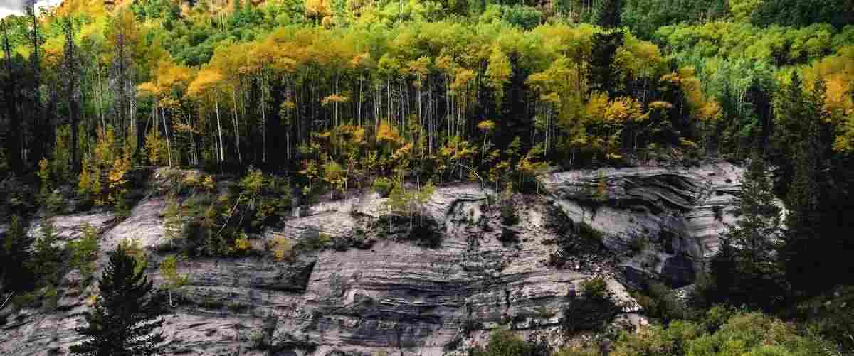 ¿Qué es lo que realiza por primera vez un otorrinolaringólogo cuando tiene un paciente? ¿Qué es lo que realiza por primera vez un otorrinolaringólogo cuando tiene un paciente?