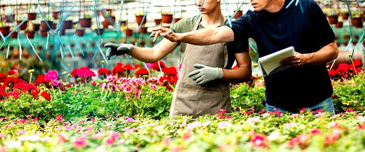 ¿Qué factores afectan el precio de los servicios de jardinería?