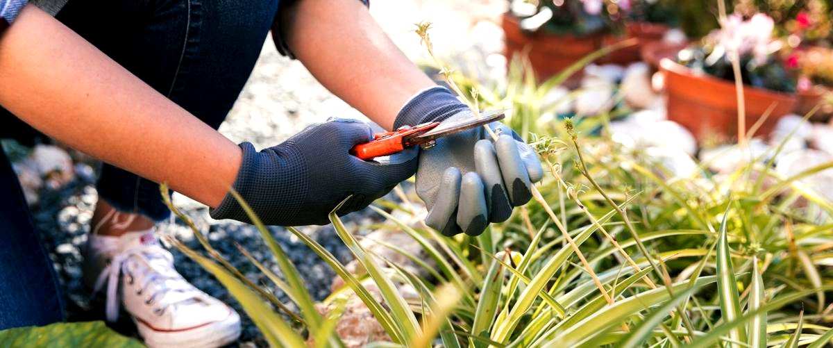 ¿Qué factores influyen en el precio de un servicio de jardinería en Bilbao?