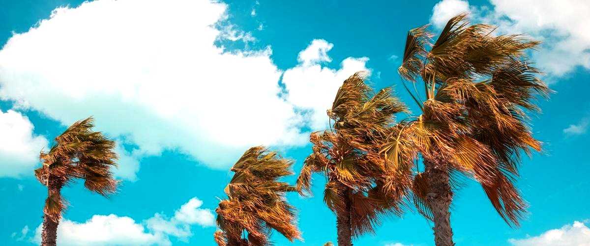 ¿Qué hace un otorrinolaringólogo la primera vez que tiene un paciente?