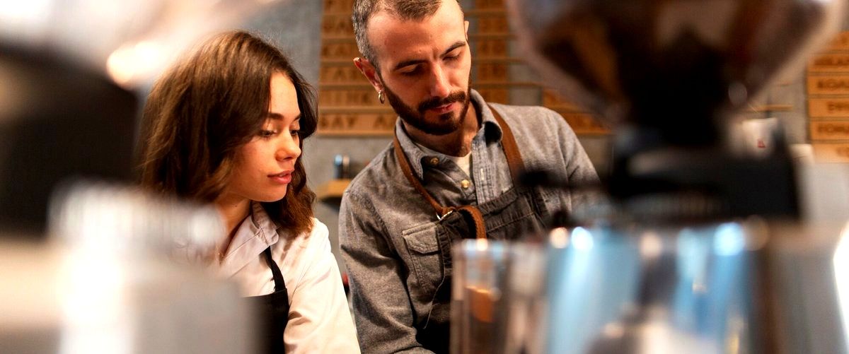 ¿Qué marcas de televisores se encuentran disponibles en las tiendas de Zamora?