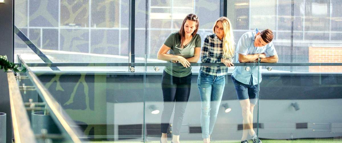 ¿Qué marcas y productos se pueden encontrar en las tiendas de pádel en Logroño?