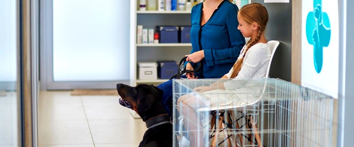 ¿Qué medidas de seguridad tienen las guarderías caninas en Huelva?