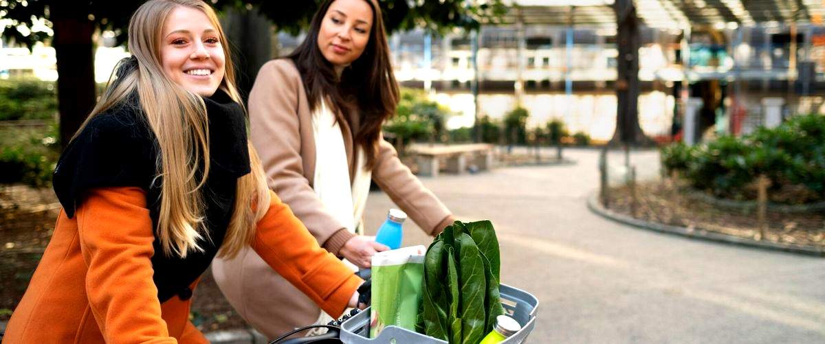 ¿Qué nombre se le da a la persona que repara bicicletas en talleres en Dos Hermanas (Sevilla)?