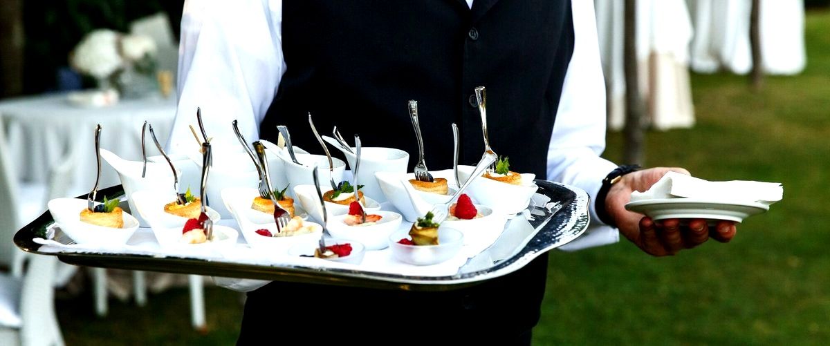 ¿Qué opciones de menús se suelen ofrecer en un servicio de catering?