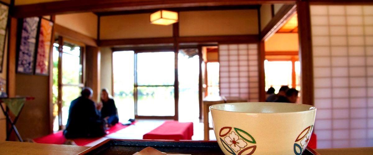 ¿Qué opciones vegetarianas ofrecen los restaurantes japoneses en Palencia?