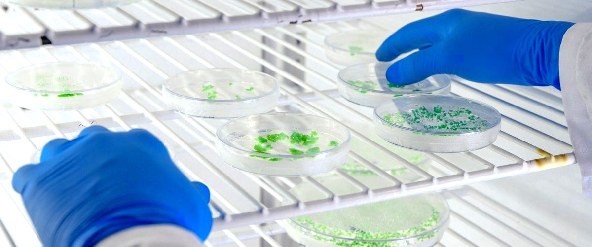 ¿Qué productos fabrican las empresas químicas en Coruña (La Coruña)?