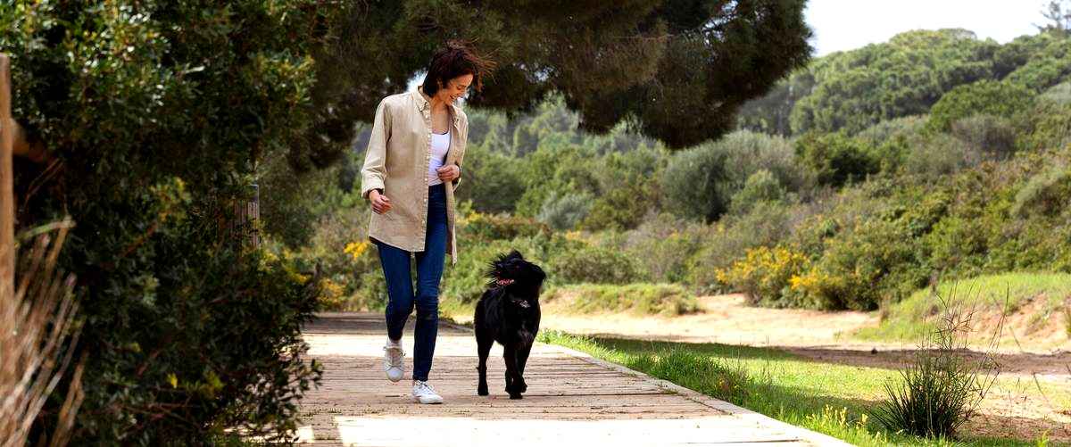¿Qué se necesita estudiar para convertirse en adiestrador de perros en Albacete?