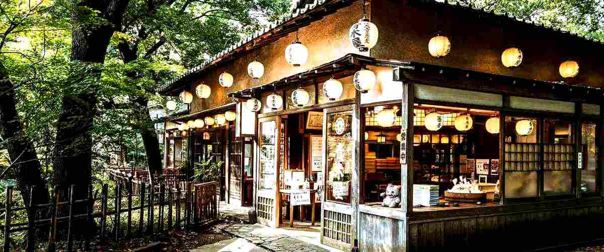 ¿Qué se vende en los restaurantes japoneses de Sant Cugat del Vallès (Barcelona)?