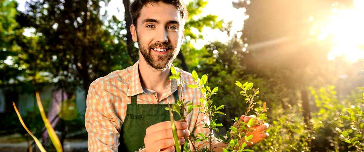 ¿Qué servicios adicionales pueden ofrecer las empresas de jardinería en Vitoria?