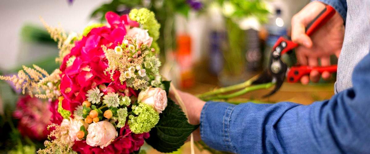 ¿Qué servicios ofrece una floristería en San Sebastián de los Reyes (Madrid)?