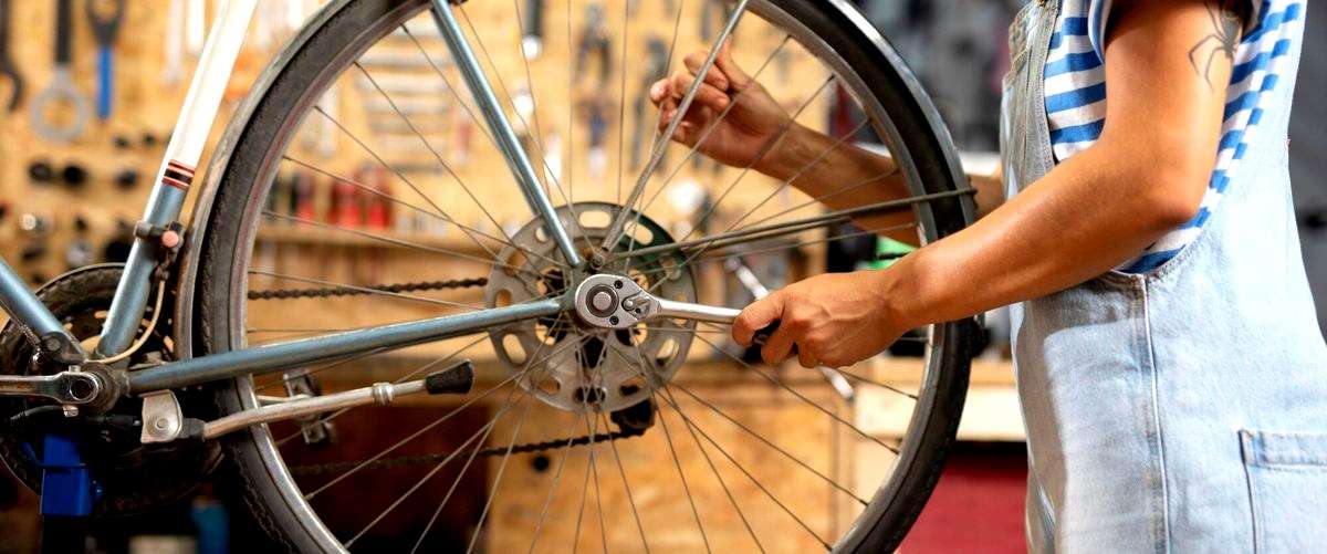 ¿Qué servicios se incluyen en un servicio de bicicleta?