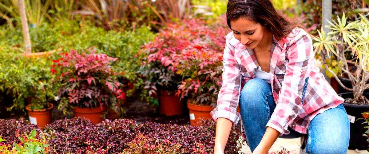 ¿Qué servicios se incluyen en un servicio de jardinería?