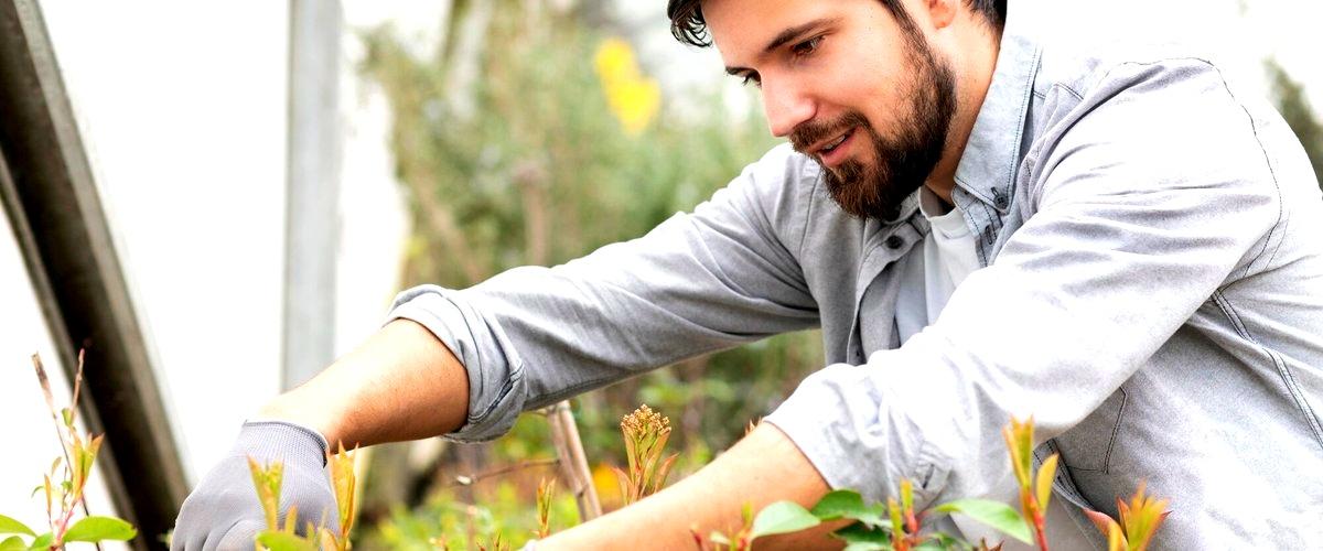 ¿Qué servicios se incluyen en un servicio de jardinería en Asturias?