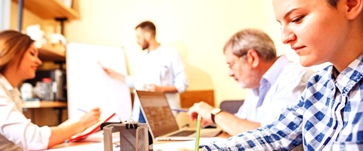 ¿Qué significa educación dual mixta?