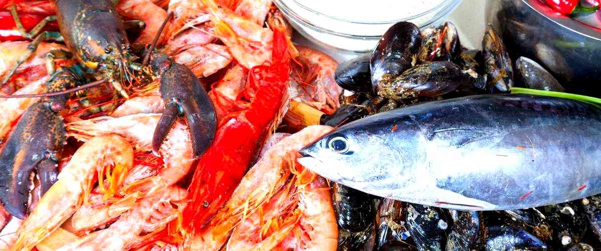 ¿Qué tipo de alimentos y accesorios se pueden encontrar en las tiendas de peces en Badajoz?