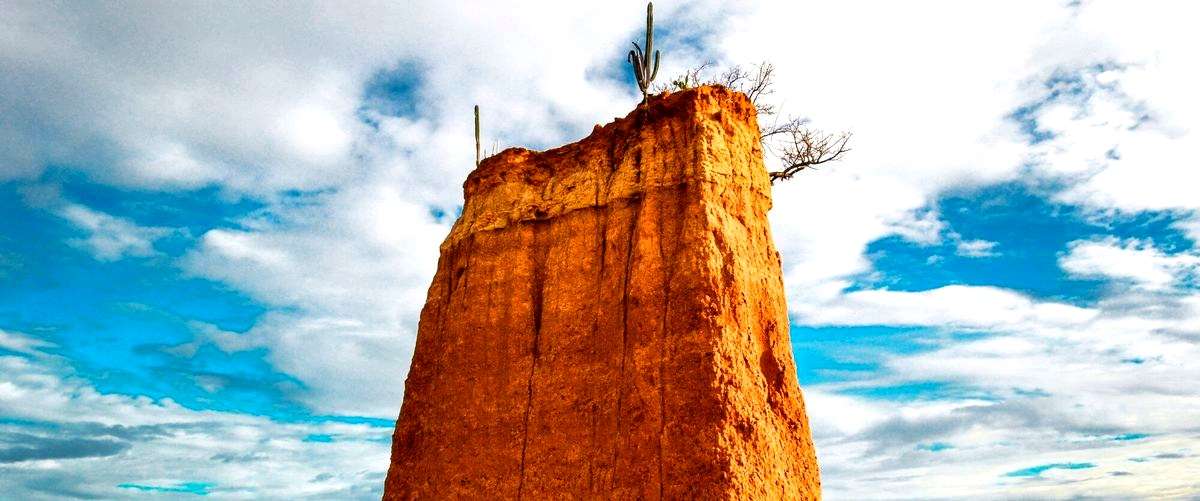 ¿Qué tipo de arroces se pueden encontrar en las arrocerías de Teruel?