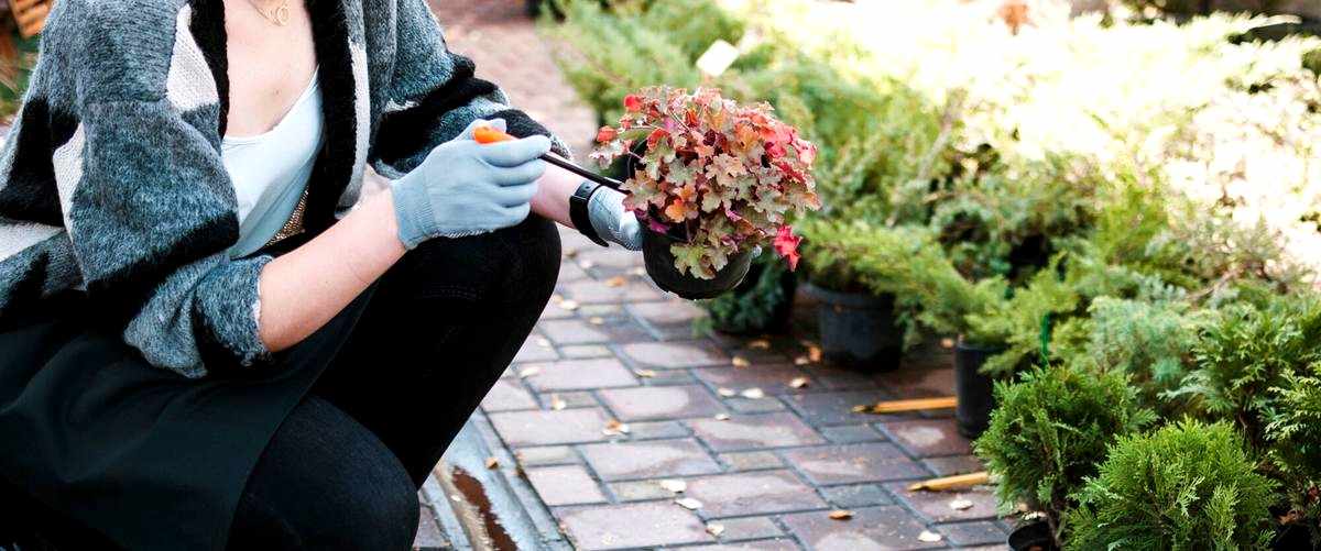 ¿Qué tipo de mantenimiento se requiere para mantener un jardín en buen estado?