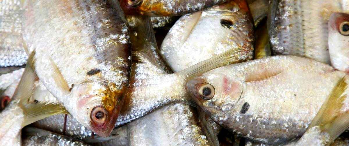 ¿Qué tipo de peces se pueden encontrar en las tiendas de Tarragona?
