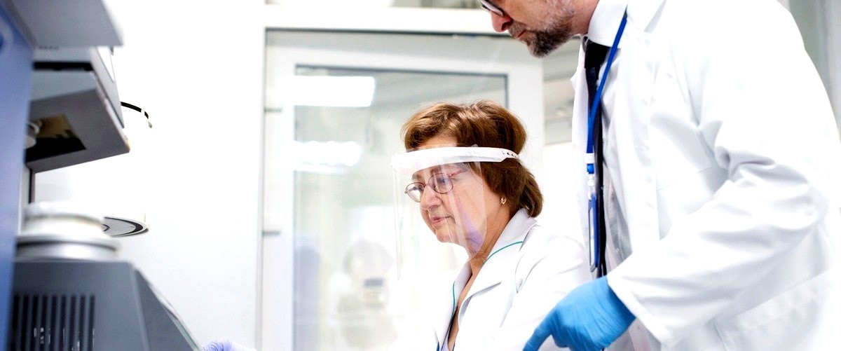 ¿Qué tipo de productos o servicios ofrecen estas empresas?