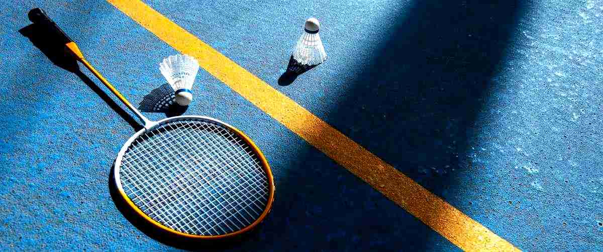 ¿Qué tipo de productos y accesorios se pueden encontrar en las tiendas de pádel en Navarra?